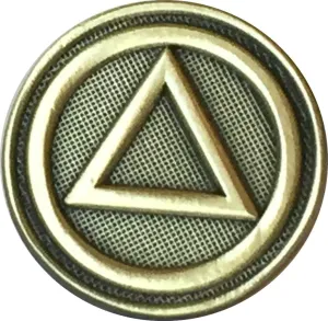 AA Logo Circle Triangle Lapel Pin Alcoholics Anonymous Sobriety Badge