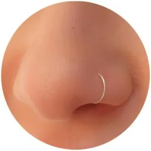 Ldurian Nose Rings for Women, Gold Hypoallergenic Nose Ring Hoop, 316L Surgical Steel Septum Cartilage Earring, 20G 18G 16G 14 Guage Diameter 5mm to 16mm Body Piercing Lip Jewelry