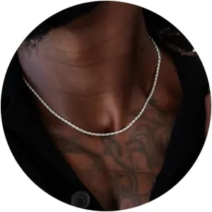 RANKEEF 2/3/4mm Rope Chain Necklace for Men - Silver Necklace18/20/22 Inches Chain for Waterproof Sturdy & Shiny Twist Rope Necklace Gifts for Men & Women Husband Boyfriend