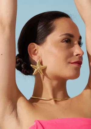 Starfish Earrings