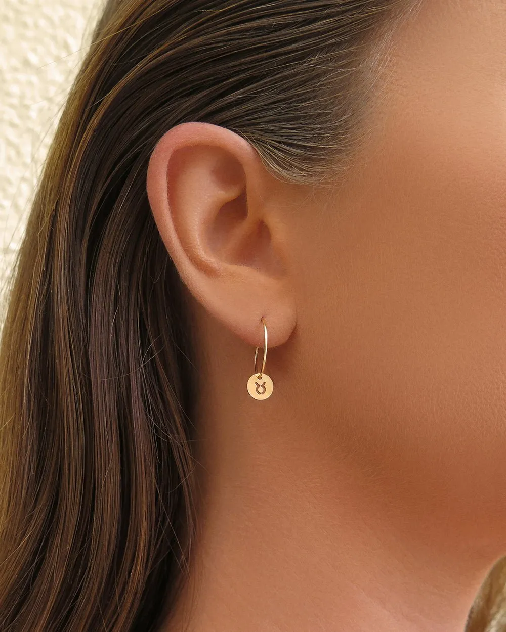 Zodiac Hoop Earrings